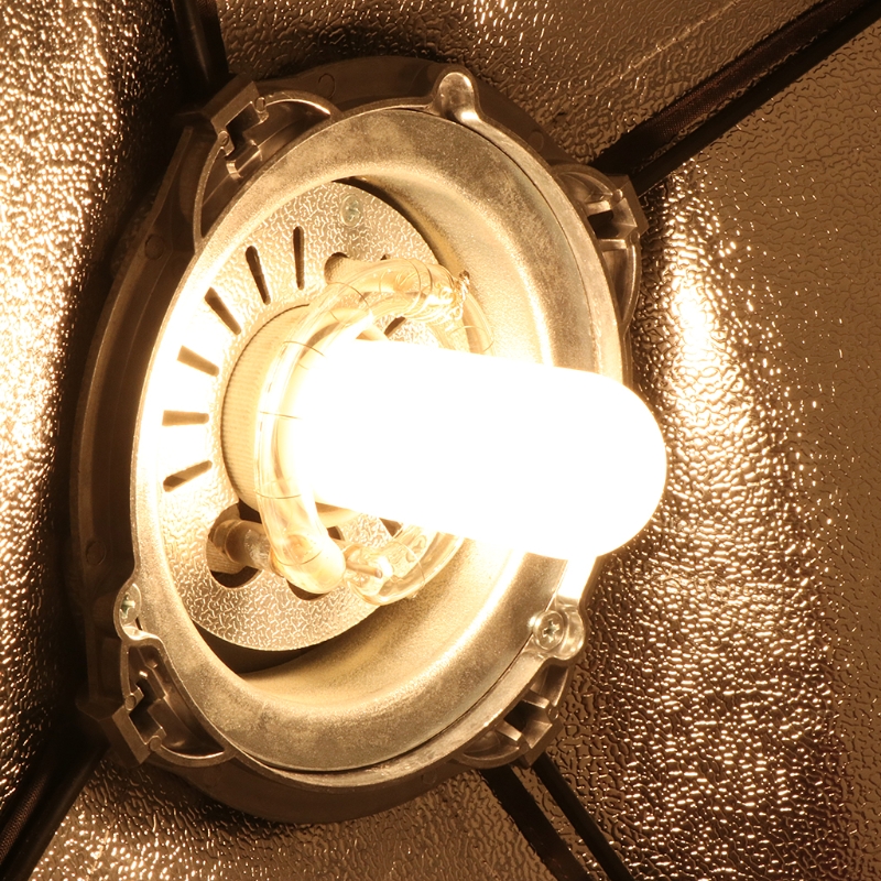 view